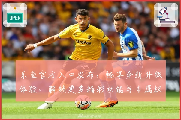 乐鱼官方入口发布，畅享全新升级体验，解锁更多精彩功能与专属权益