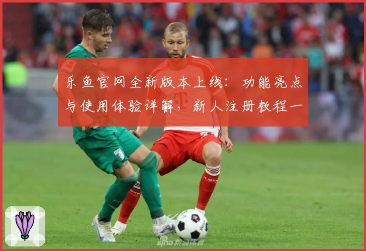 乐鱼官网全新版本上线：功能亮点与使用体验详解，新人注册教程一站式指南